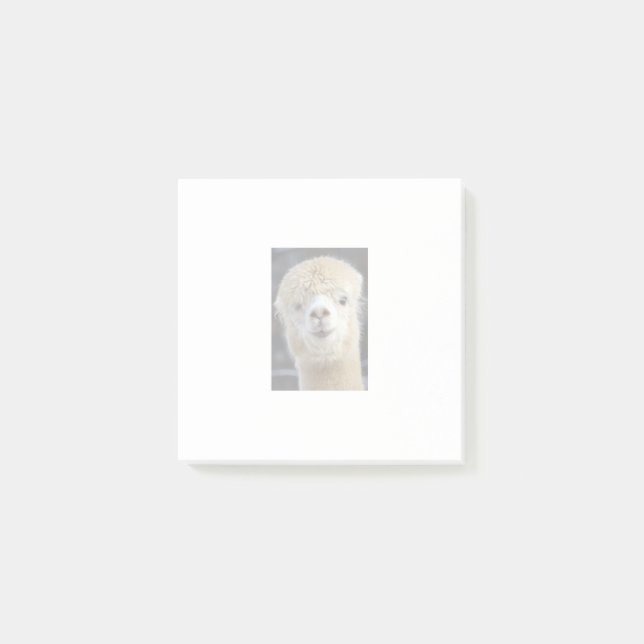 Bloco De Notas Um rosto fofo e fofinho de uma alpaca     (Frente)