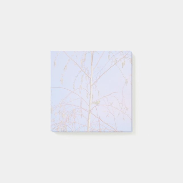 Bloco De Notas Um Segredo ao Sunset (Frente)