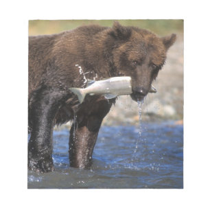 Bloco De Notas Urso castanho, urso pardo, com capturas de salmão,