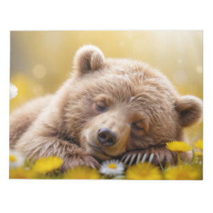 Bloco De Notas Urso Diversão Animal Miniatura Fantástico Ursinho