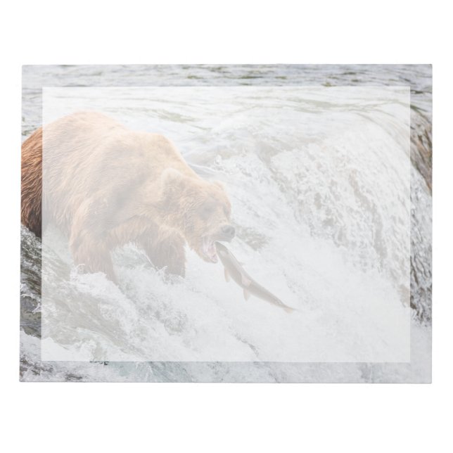 Bloco De Notas Urso Pardo Pega Salmão Vermelho (Frente)