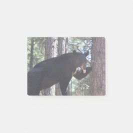 Bloco De Notas Urso Preto