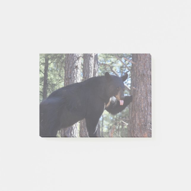 Bloco De Notas Urso Preto (Frente)