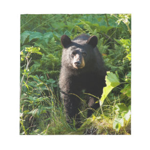 Bloco De Notas Urso preto curioso