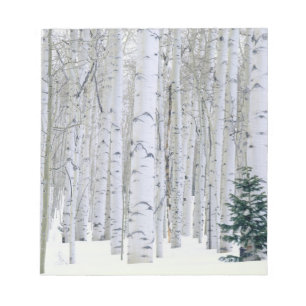 Bloco De Notas UTAH. EUA. Aspen (Populus tremuloides) & Douglas