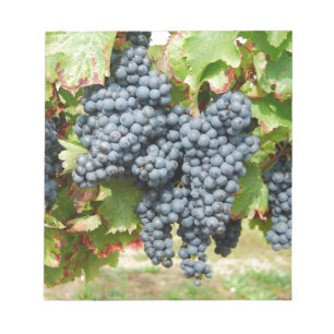 Bloco De Notas Uvas de vinho