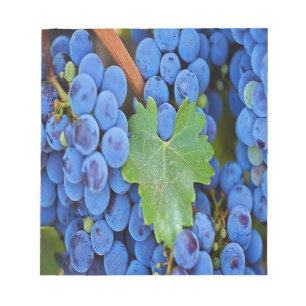 Bloco De Notas Uvas numa Vinha