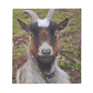 Bloco De Notas Vai fechar.