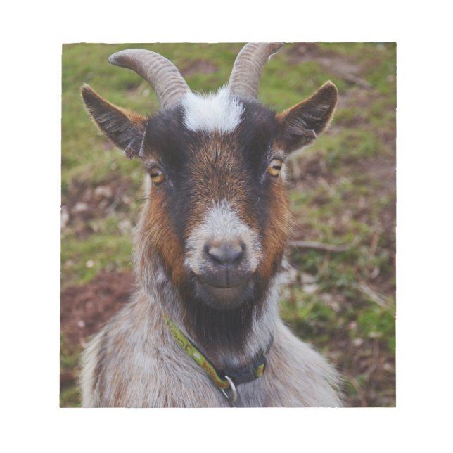 Bloco De Notas Vai fechar. (Frente)