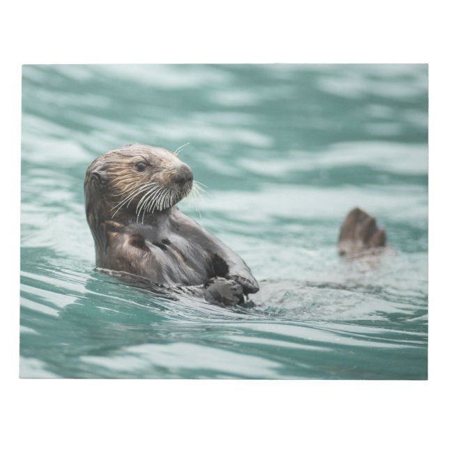 Bloco De Notas Vigiando a lontra marítima (Frente)