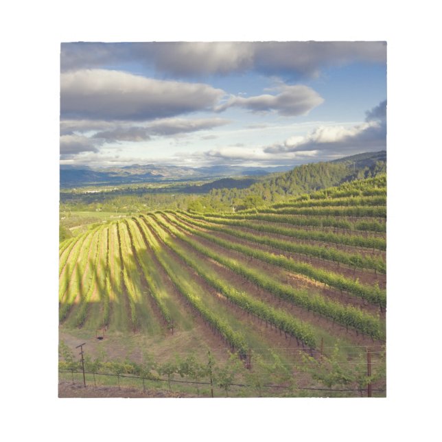 Bloco De Notas Vineyard. Vale Napa. Napa. Condado de Napa, (Frente)
