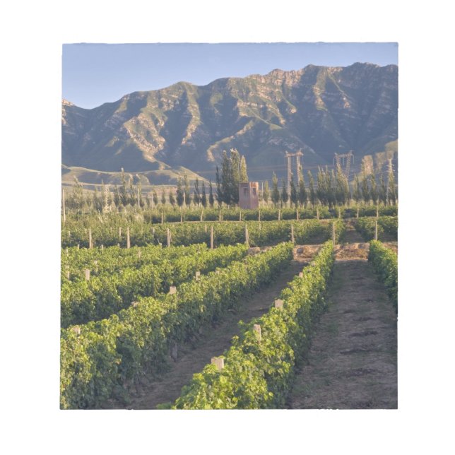 Bloco De Notas Vinhas de Cabernet Sauvignon em Huailai Rongchen (Frente)