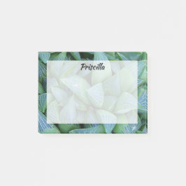 Bloco De Notas Vinhetas Personalizadas de Plantas Sucultas da Gre