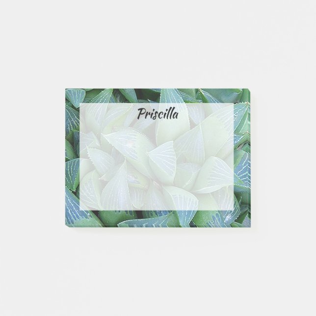 Bloco De Notas Vinhetas Personalizadas de Plantas Sucultas da Gre (Frente)