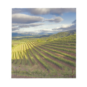 Bloco De Notas Vinícola. Vale de Napa. Napa. Condado de Napa,