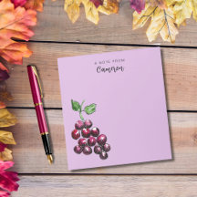 Vintage, Desenhada À Mão, Uvas De Cor Da Água Plum