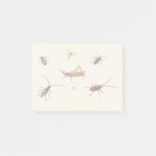Bloco De Notas Vintage design com sete diferentes insetos