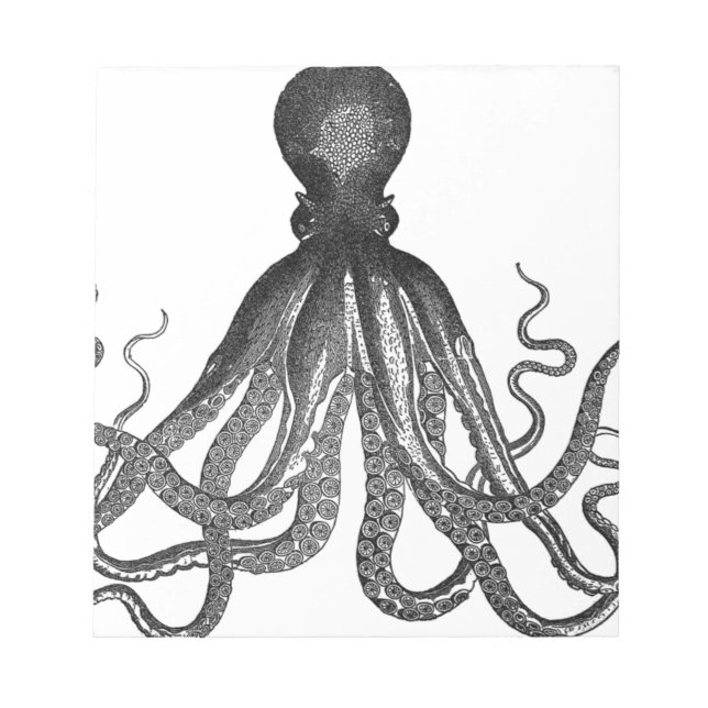 Bloco De Notas Vintage Octopus Sea Ocean Animal (Frente)