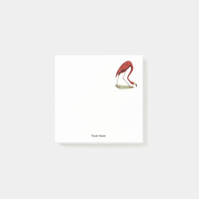 Bloco De Notas Vintage Pink Flamingo #1 (Frente)