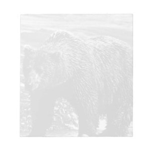 Bloco De Notas Vintage USA Alaska — urso pardo 1970