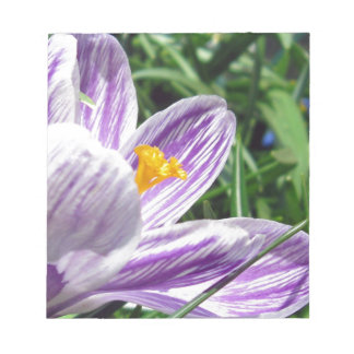 Bloco De Notas Violet primavera crocus