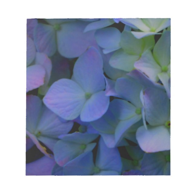 Bloco De Notas Violet purple pink blue hydrangeas flower floral (Frente)