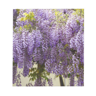 Bloco De Notas Violet Wisteria Flowers