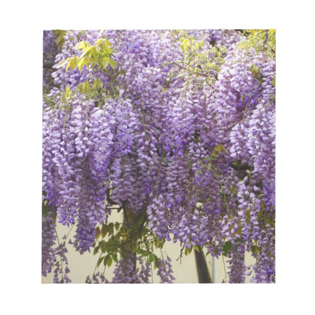 Bloco De Notas Violet Wisteria Flowers (Frente)