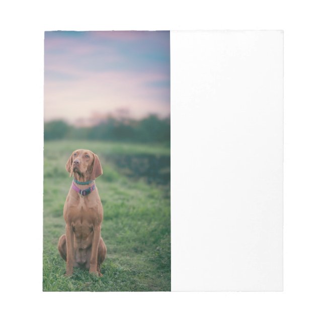 Bloco De Notas vizsla sentado (Frente)