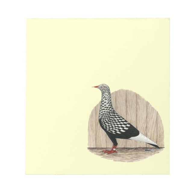 Bloco De Notas Voo Voando Black Teager Pigeon (Frente)