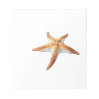 Bloco De Notas Watercolor Drawing of Starfish