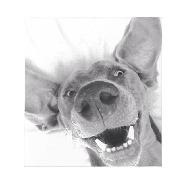 Bloco De Notas Weimeraner (Frente)