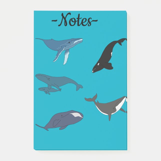 Bloco De Notas Whale (Frente)