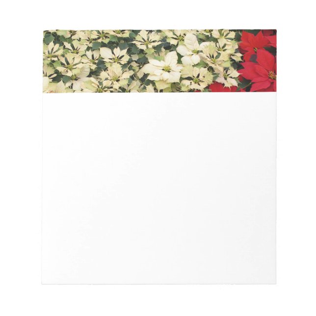 Bloco De Notas White e Red Poinsettias I Feriado Floral (Frente)