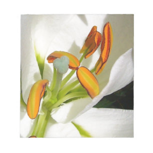Bloco De Notas White Lily