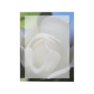 Bloco De Notas White rose flower. Floral photography.