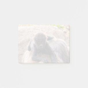 Bloco De Notas Willie B III no Zoo Atlanta (2023)