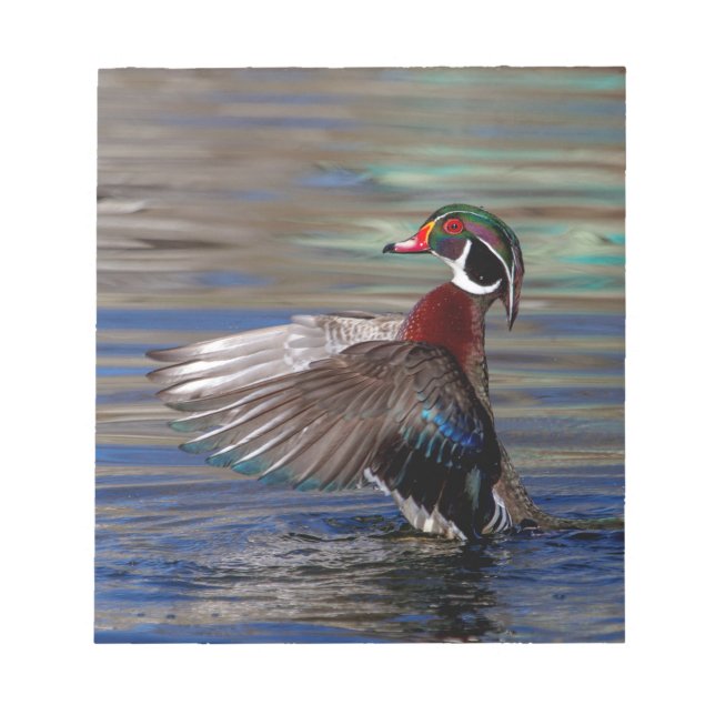 Bloco De Notas Wing Flapping Wood Duck (Frente)