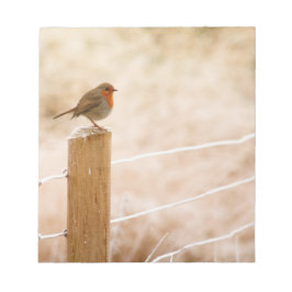 Bloco De Notas Winter Robin Redbreast