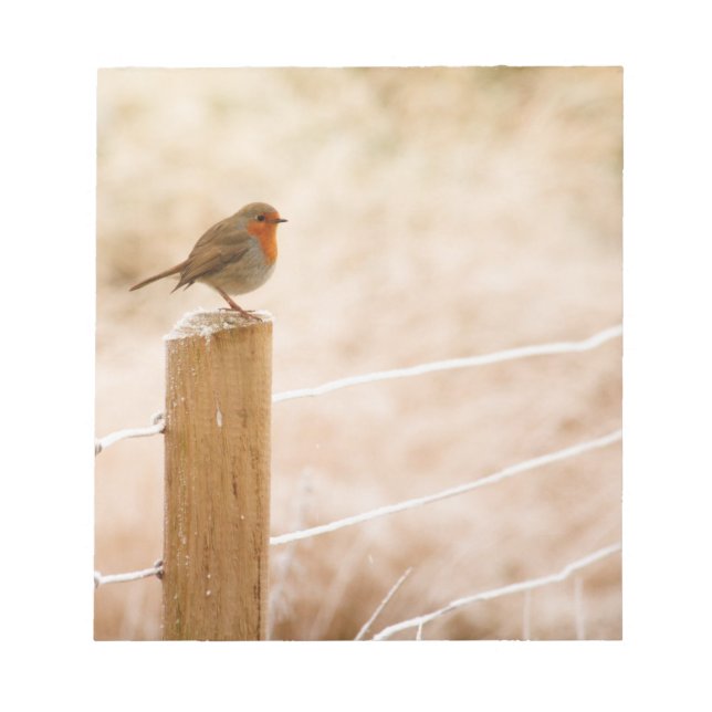 Bloco De Notas Winter Robin Redbreast (Frente)