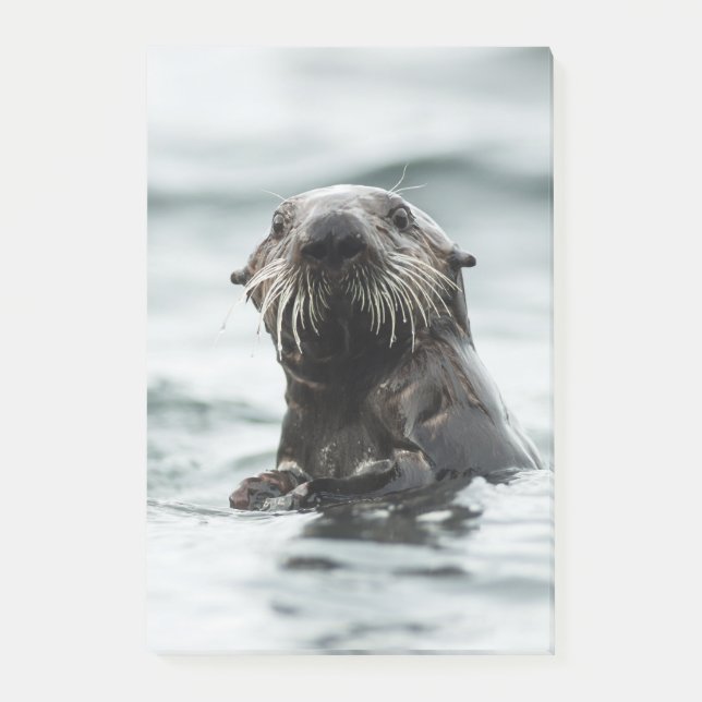 Bloco De Notas Wise Otter (Frente)