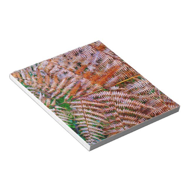 Bloco De Notas Woodland Ferns (Inclinado)
