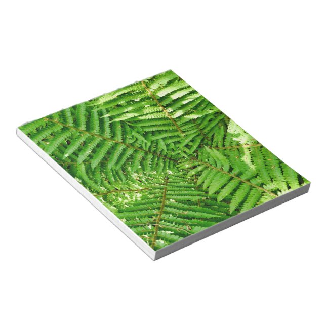 Bloco De Notas Woodland Ferns (Inclinado)