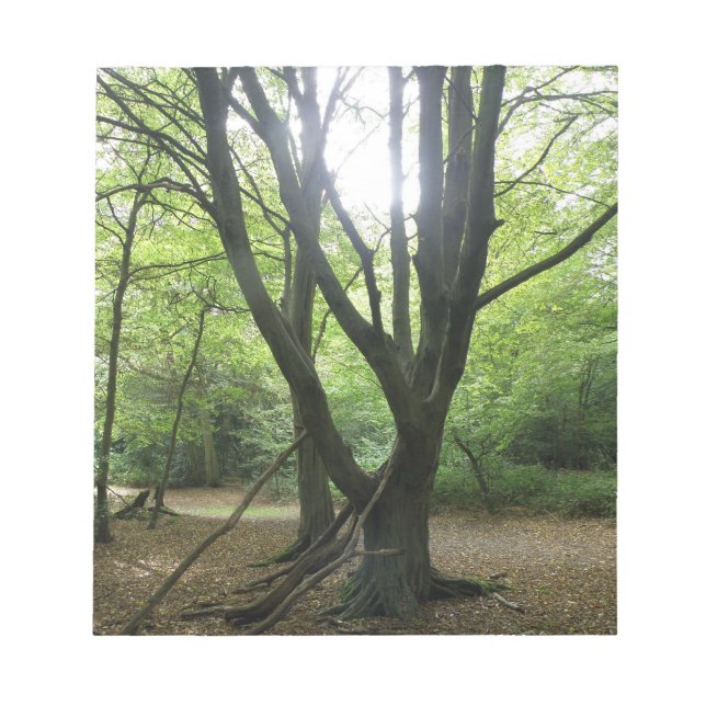 Bloco De Notas Woodland Sunshine Notepad (Frente)