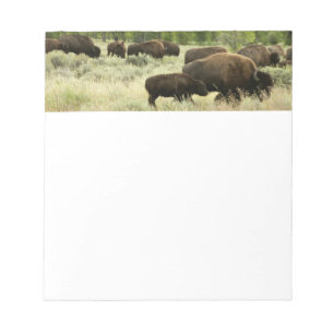 Bloco De Notas Wyoming Bison Nature