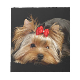 Bloco De Notas Yorkie fofa