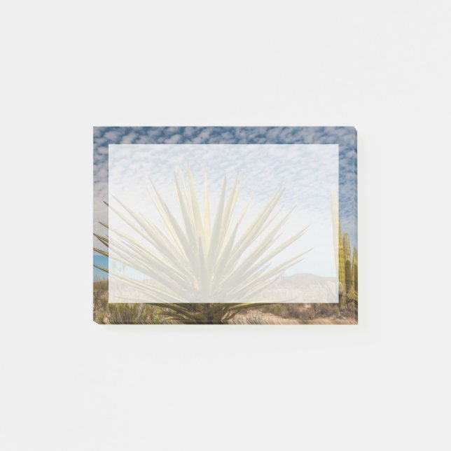 Bloco De Notas Yucca no Deserto, México (Frente)