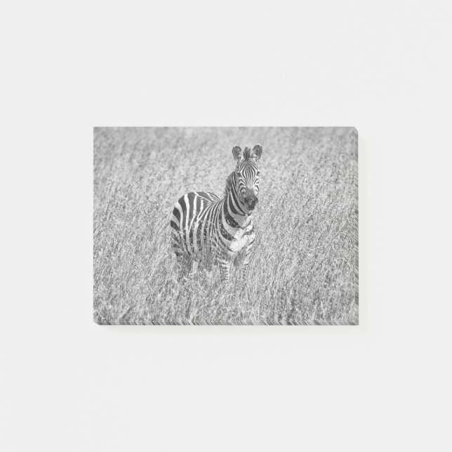 Bloco De Notas Zebra na grama alta (Frente)