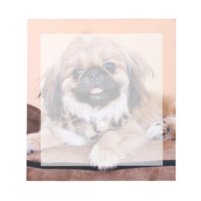 Bloco De Notas Zoe - Pekingese (Frente)