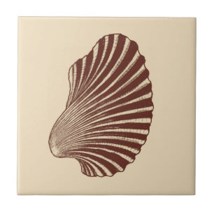 Bloco de Shell Scallop Impressão, Brown e Beige Ce